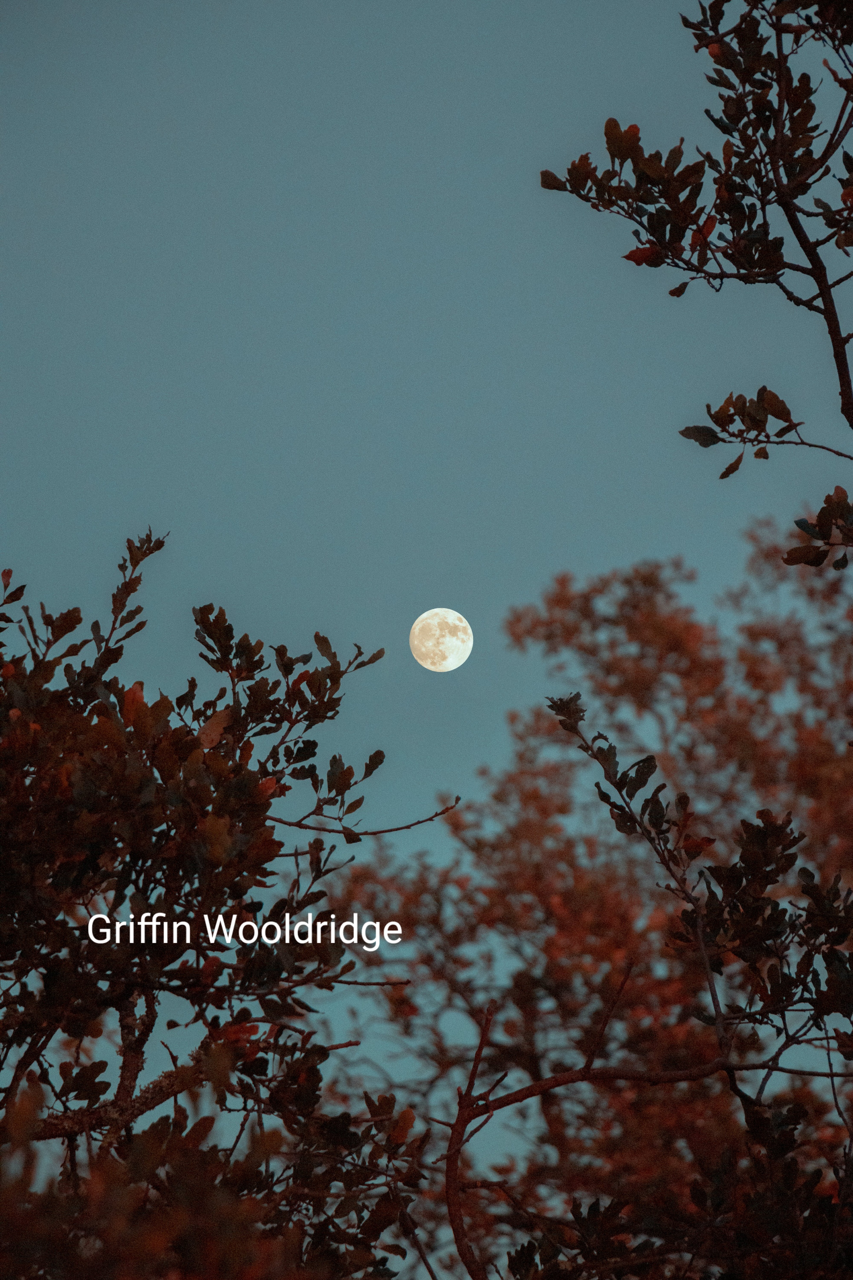 Vers la voie enchantée